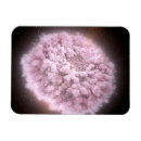 Search for debris magnets Space