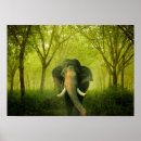 Search for indian elephant posters Nature