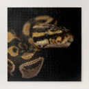 Search for slither Nature