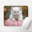 Search for kitten pumpkin mousepads Autumn