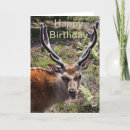Search for stag cards Portrait