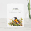 Search for oriole Watercolor