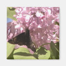Search for lilac magnets Flowers