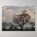 Search for wetland posters Danita delimont