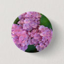 Search for hydrangea badges Botanical