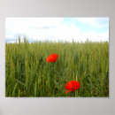 Search for wheat field posters Green