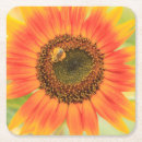 Search for communication coasters Superstock