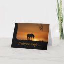 Search for horse sympathy cards Loss of horse