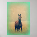 Search for foggy art Horse