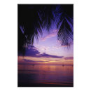 Search for negril posters Sunset