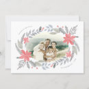 Search for vintage poinsettia christmas cards Greenery