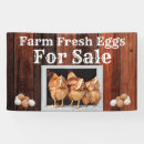 Search for eggs for sale signs Farmers market