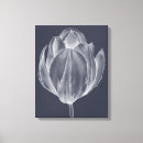 Search for graphics canvas prints Botanical
