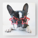 Search for french bulldog clocks Photography