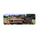 Search for wild horse return address labels Equestrian