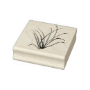 Search for enviroment Plants
