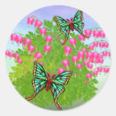 Search for moth stickers Spanish moon moth