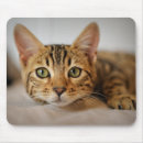 Search for cat design mousepads Pet