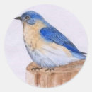 Search for bluebirds stickers Nature
