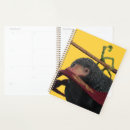 Search for secrets office supplies Fantastic beasts