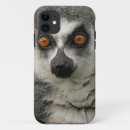 Search for lemur iphone cases Wildlife