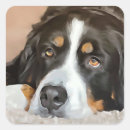 Search for protector stickers Animal
