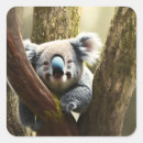 Search for smiling bear stickers Wildlife