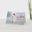 Search for samoyed dog cards Snow