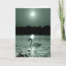 Search for moonlight cards Lake