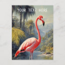 Search for vintage flamingo postcards Retro travel