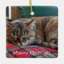 Search for sleeping cat christmas tree decorations Kitty