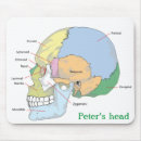 Search for anatomy skull electronics Head