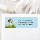 Search for beagle puppy return address labels Hound
