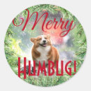 Search for humbug stickers Xmas