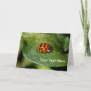 Search for bug pictures cards Insects