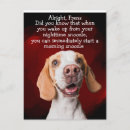 Search for funny dog postcards Humour