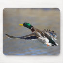 Search for outdoorsman electronics Animal