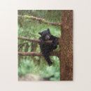 Search for black bear puzzles Park