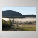 Search for early art Fog
