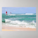 Search for diamond head posters Tropical