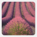 Search for provence stickers Flower