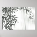 Search for bamboo background posters Black