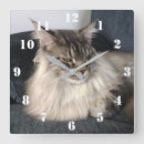 Search for maine clocks Cat