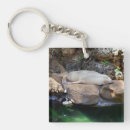 Search for sea lion key rings Wildlife