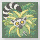 Search for lemur coasters Primates