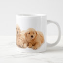 Search for golden retriever puppies mugs Pet