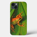 Search for adults ipad cases Fauna