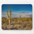 Search for arizona sunset electronics Southwest
