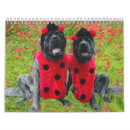 Search for mastiff calendars Dog