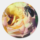 Search for bumble bees stickers For her